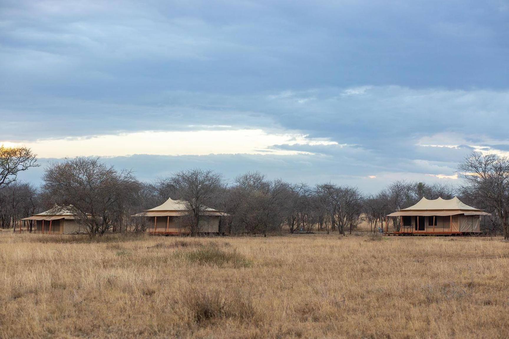 House Of Nature סרנגטי מראה חיצוני תמונה