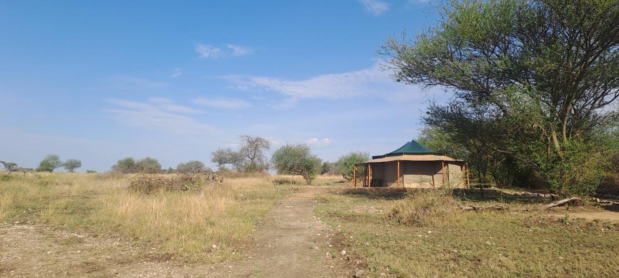 House Of Nature סרנגטי מראה חיצוני תמונה